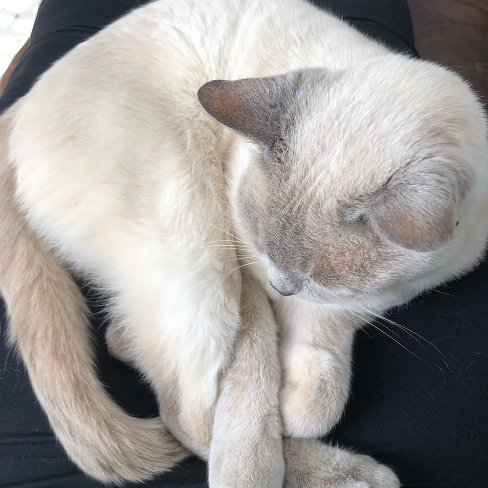 Meet your Posher, Colleen